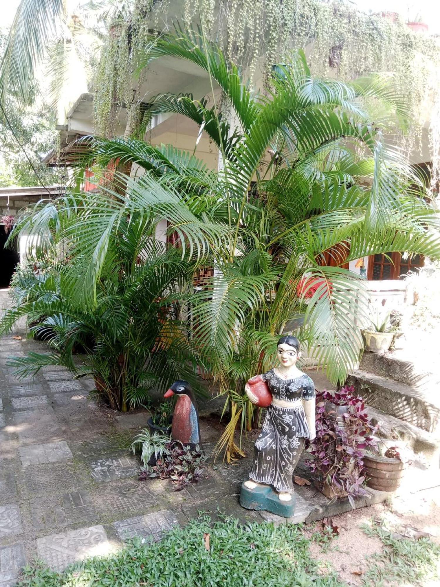 Nelum Home Stay سيغيرِيا المظهر الخارجي الصورة